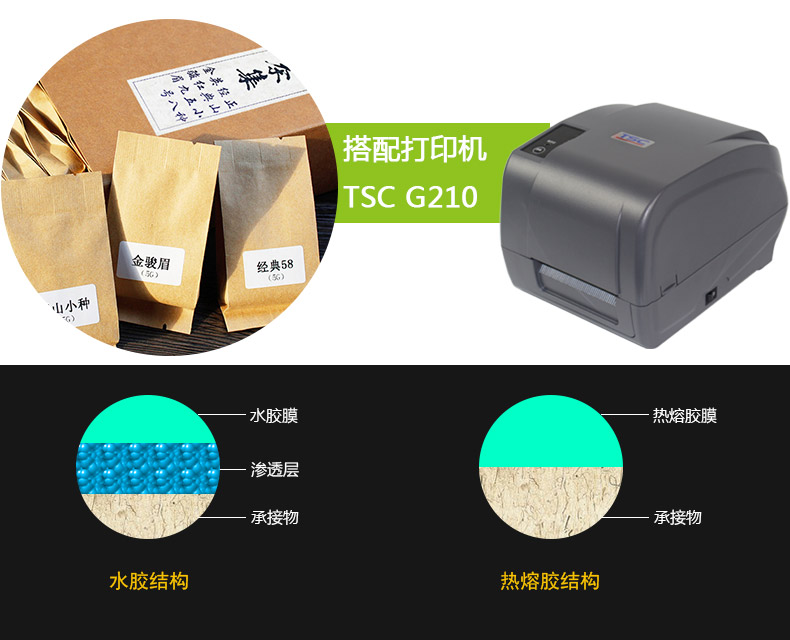 銅版紙3219_08.jpg