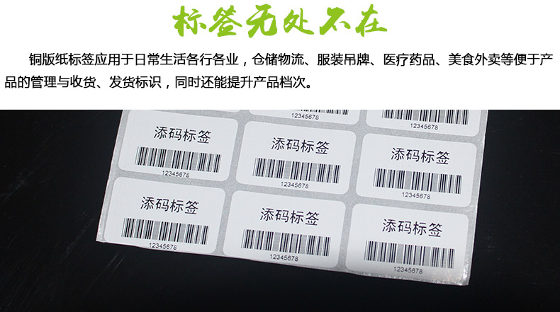 銅版紙3219_02.jpg