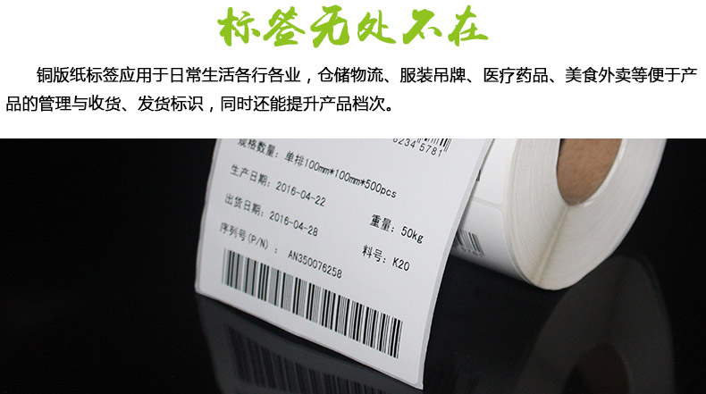銅版紙100100_03.jpg